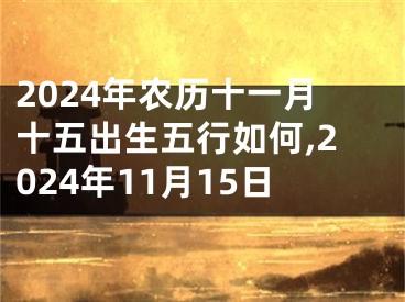 2024年农历十一月十五出生五行如何,2024年11月15日