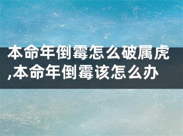 本命年倒霉怎么破属虎,本命年倒霉该怎么办