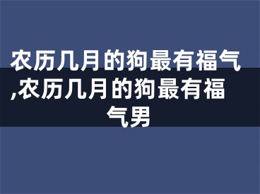 农历几月的狗最有福气,农历几月的狗最有福气男