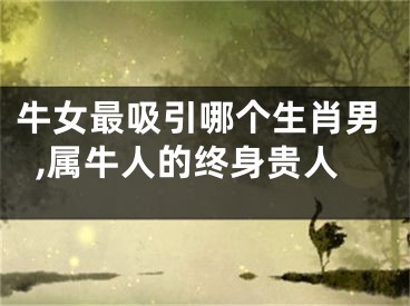 牛女最吸引哪个生肖男,属牛人的终身贵人