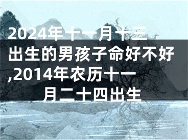 2024年十一月十三出生的男孩子命好不好,2014年农历十一月二十四出生
