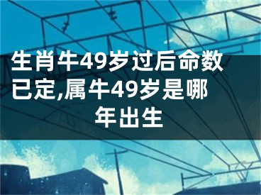 生肖牛49岁过后命数已定,属牛49岁是哪年出生