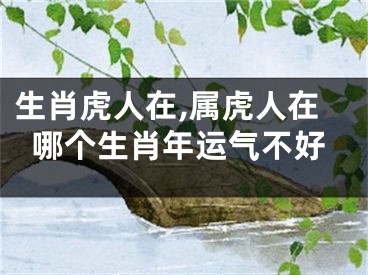 生肖虎人在,属虎人在哪个生肖年运气不好