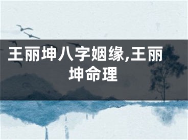 王丽坤八字姻缘,王丽坤命理