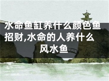 水命鱼缸养什么颜色鱼招财,水命的人养什么风水鱼