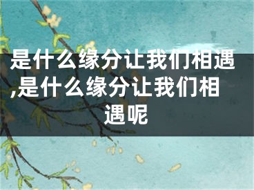 是什么缘分让我们相遇,是什么缘分让我们相遇呢