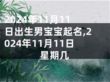 2024年11月11日出生男宝宝起名,2024年11月11日星期几