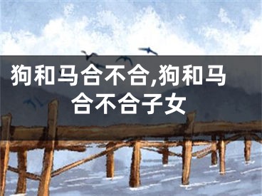 狗和马合不合,狗和马合不合子女