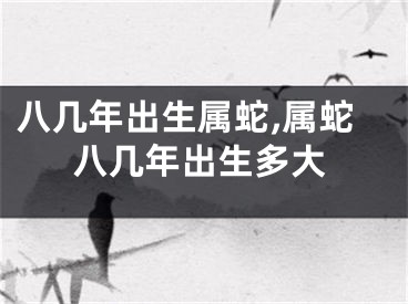 八几年出生属蛇,属蛇八几年出生多大