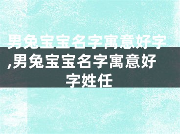 男兔宝宝名字寓意好字,男兔宝宝名字寓意好字姓任