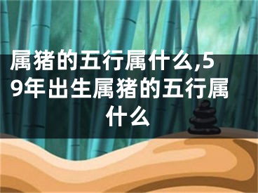 属猪的五行属什么,59年出生属猪的五行属什么