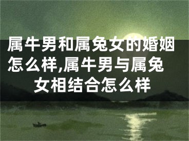 属牛男和属兔女的婚姻怎么样,属牛男与属兔女相结合怎么样