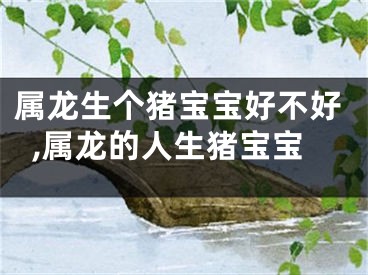 属龙生个猪宝宝好不好,属龙的人生猪宝宝