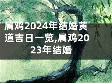 属鸡2024年结婚黄道吉日一览,属鸡2023年结婚