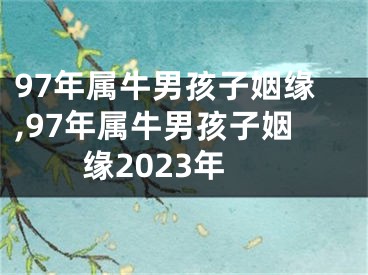 97年属牛男孩子姻缘,97年属牛男孩子姻缘2023年