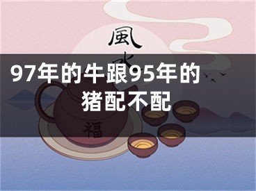 97年的牛跟95年的猪配不配