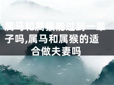 属马和属猴能过到一辈子吗,属马和属猴的适合做夫妻吗