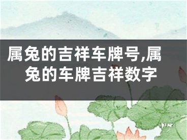 属兔的吉祥车牌号,属兔的车牌吉祥数字