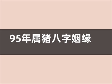 95年属猪八字姻缘