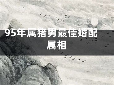 95年属猪男最佳婚配属相