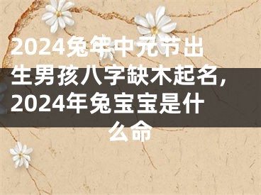 2024兔年中元节出生男孩八字缺木起名,2024年兔宝宝是什么命