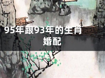 95年跟93年的生肖婚配