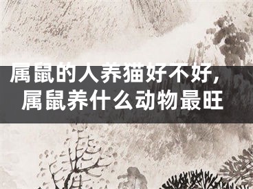 属鼠的人养猫好不好,属鼠养什么动物最旺