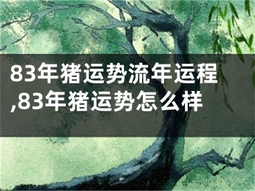 83年猪运势流年运程,83年猪运势怎么样