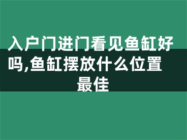 入户门进门看见鱼缸好吗,鱼缸摆放什么位置最佳