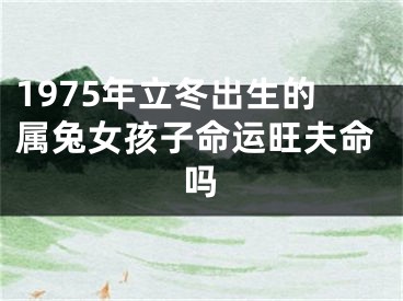 1975年立冬出生的属兔女孩子命运旺夫命吗