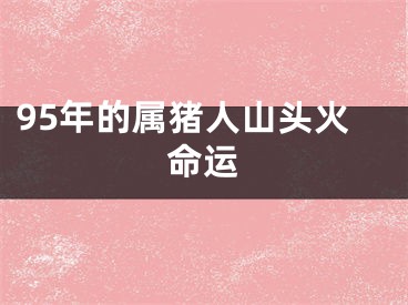 95年的属猪人山头火命运