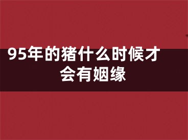 95年的猪什么时候才会有姻缘
