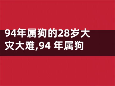 94年属狗的28岁大灾大难,94 年属狗