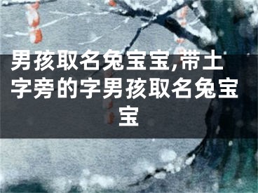 男孩取名兔宝宝,带土字旁的字男孩取名兔宝宝