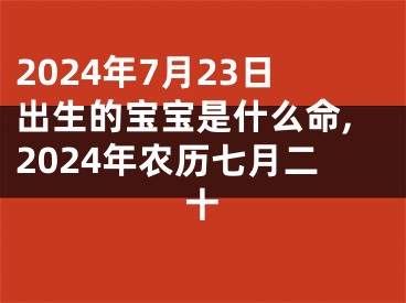2024年7月23日出生的宝宝是什么命,2024年农历七月二十