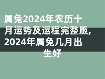 属兔2024年农历十月运势及运程完整版,2024年属兔几月出生好