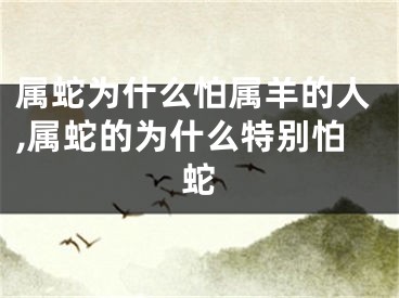 属蛇为什么怕属羊的人,属蛇的为什么特别怕蛇