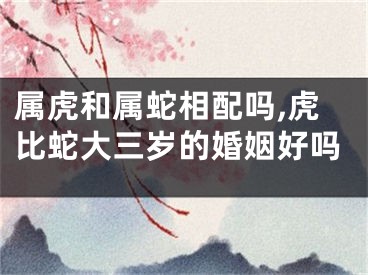 属虎和属蛇相配吗,虎比蛇大三岁的婚姻好吗