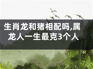 生肖龙和猪相配吗,属龙人一生最克3个人