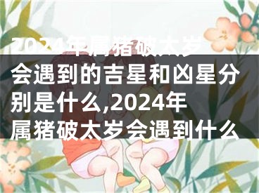 2024年属猪破太岁会遇到的吉星和凶星分别是什么,2024年属猪破太岁会遇到什么
