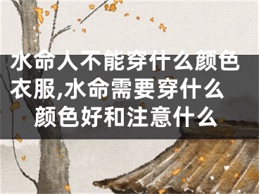 水命人不能穿什么颜色衣服,水命需要穿什么颜色好和注意什么