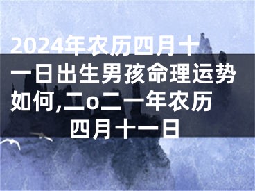 2024年农历四月十一日出生男孩命理运势如何,二o二一年农历四月十一日