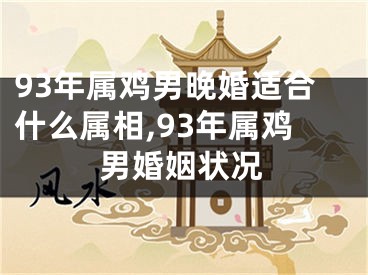 93年属鸡男晚婚适合什么属相,93年属鸡男婚姻状况