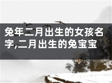 兔年二月出生的女孩名字,二月出生的兔宝宝