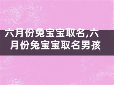 六月份兔宝宝取名,六月份兔宝宝取名男孩
