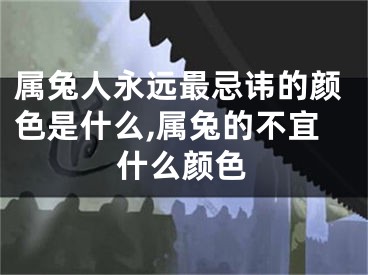 属兔人永远最忌讳的颜色是什么,属兔的不宜什么颜色