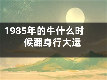 1985年的牛什么时候翻身行大运