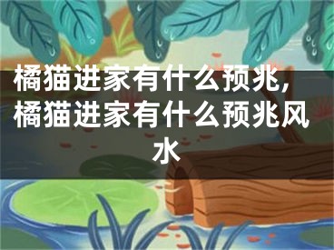 橘猫进家有什么预兆,橘猫进家有什么预兆风水