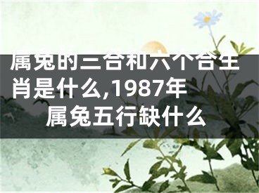 属兔的三合和六个合生肖是什么,1987年属兔五行缺什么