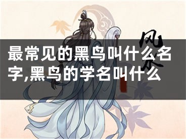 最常见的黑鸟叫什么名字,黑鸟的学名叫什么